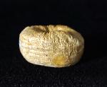 Cycloseris cyclolites (LAMARCK 1815) - Bild © FossNet FossilienStore